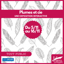 Vineuil : Exposition interactive « Plumes et Cie »