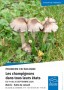 Les champignons dans tous leurs états