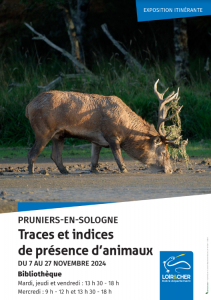 Traces et indices de présence d’animaux