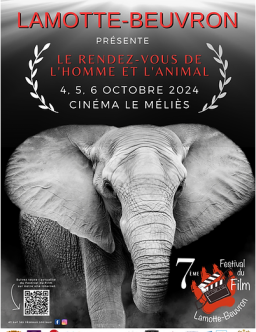 Festival du film